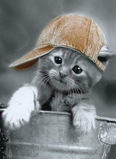 279027556_5020273954694275_7502675839813798979_n