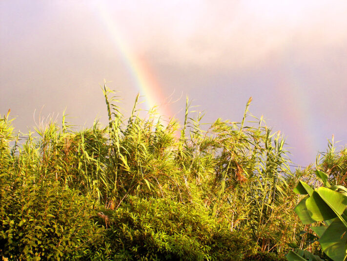 Abschied mit Regenbogen