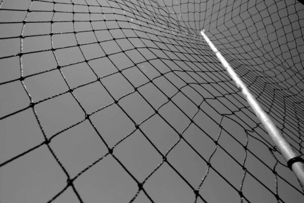 FB_IMG_1506677336592