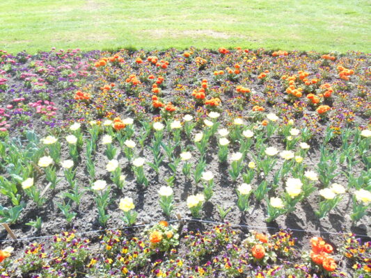 Ein tag mit geli auf der EGA 2018 043