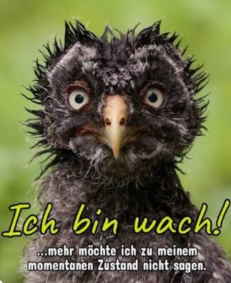 Gallery_1760023926638