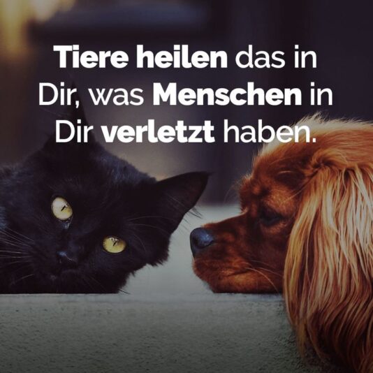 29bf0319817f9d48ce351a03426b7ae9