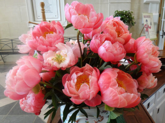 395345-svetik.jpg vfdrt