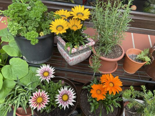 4CC35698-2894-4A3E-9CC8-6AB8F28440BD