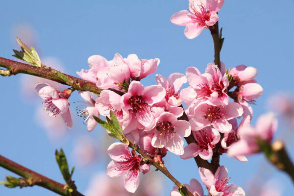 275161514_6300315257220_931590157241627646_n