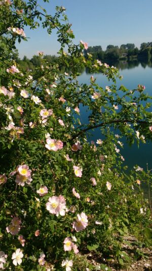 IMG_20200518_093458447