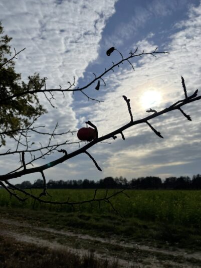 98B2969B-95FE-4FEC-9CC1-7B3E337A9977