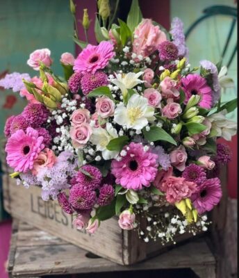 444137455_982134166802806_1102414669841803059_n