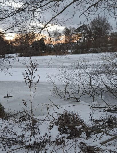 Screenshot_20260205_222938_Gallery