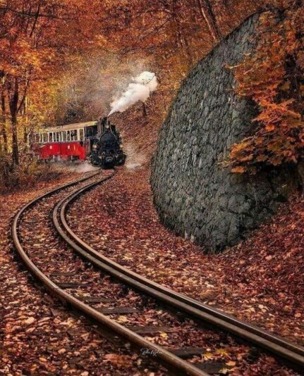 136672775_1326229531078117_5370938355233173341_n