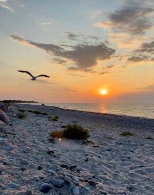 a7be6f99-a995-492c-8ffc-e7db9058f678