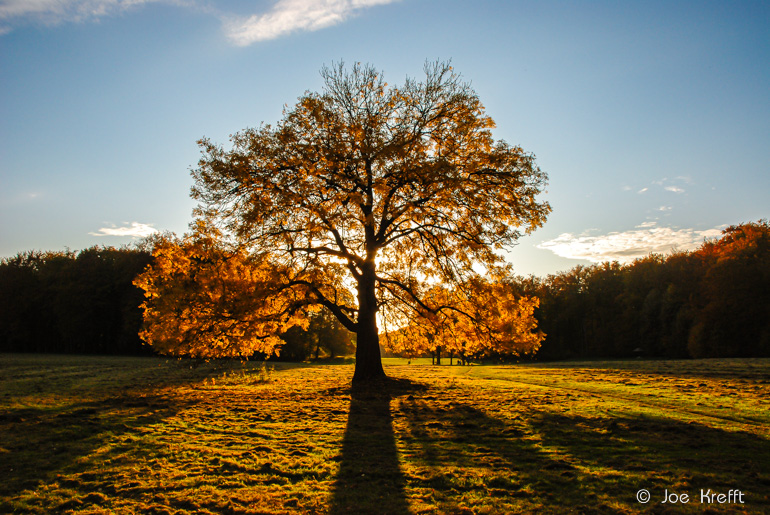 15-Herbstideen-8596-1