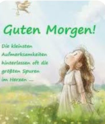 Gallery_1763356795646