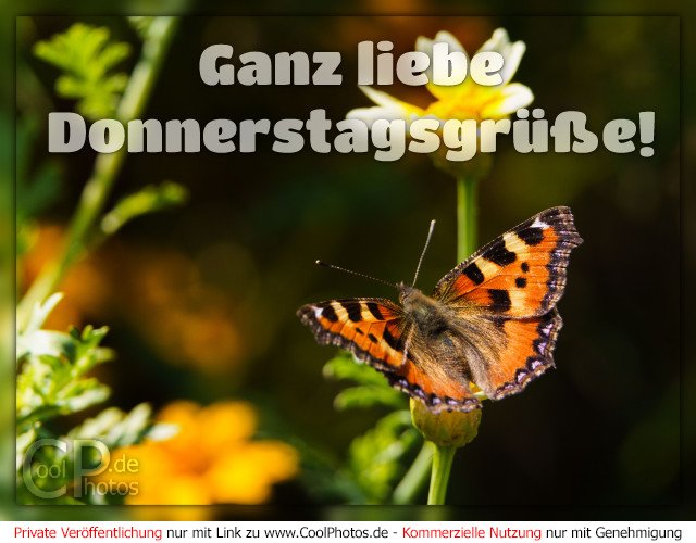 0903_01868_donnerstagsgruesse