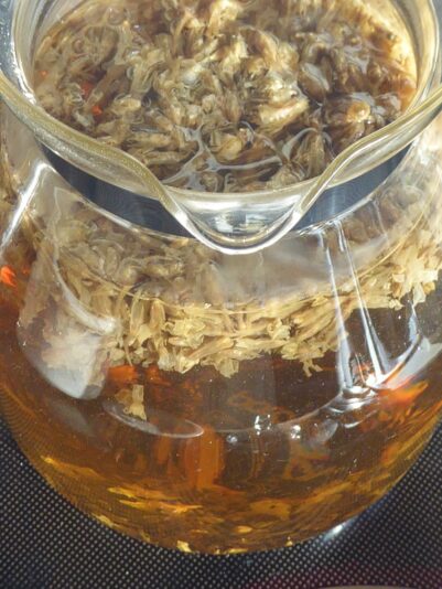 1.9.2022 Anti- Kriegstag (14)