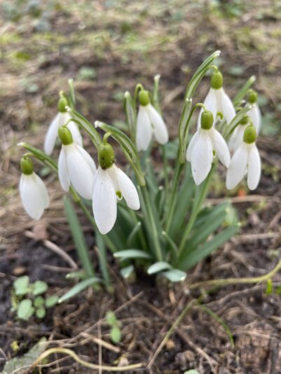 DDB9ACED-A547-4C27-8314-48C983BC1740