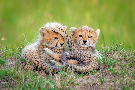 fototapete-promising_medium02