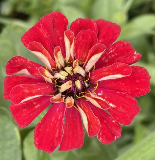 063EFAC5-0C1B-40C8-B67B-750E7563C3CA