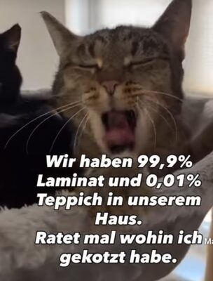 Screenshot_20260123_105750_YouTube