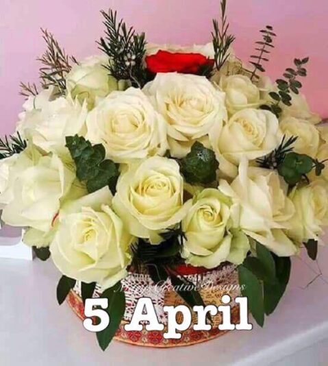 277783301_3162978393939956_268846550045667212_n (2)