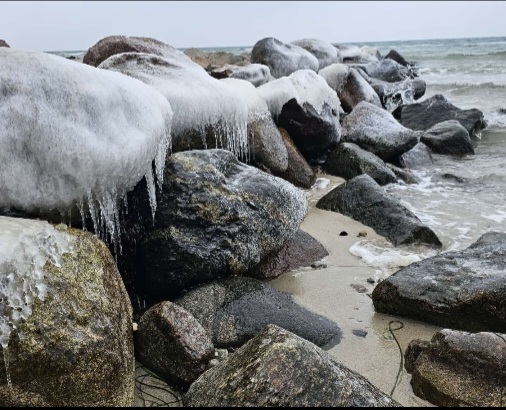 Screenshot_20260125_121312_WhatsApp