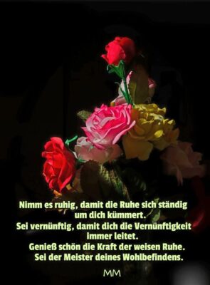 103689915_10156957042650124_5075478750251350671_o