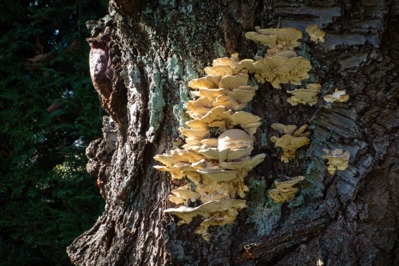 resized_2023_HuG_01u02_0053