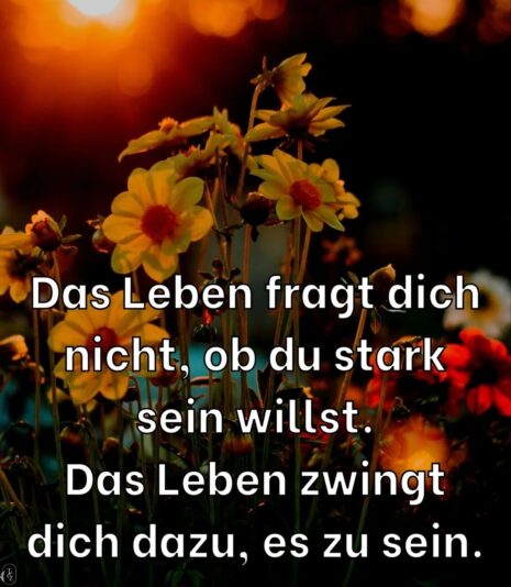 337027645_934167698024707_6468321383206890270_n