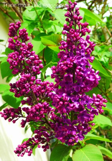 278820682_2112860482215068_2658139427537778544_n