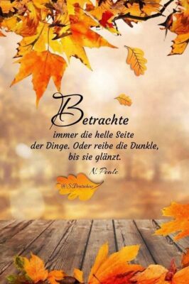 FB_IMG_1762759172550