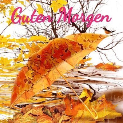 bb64ccb2-d387-43a0-b2a3-f96531fdbe77