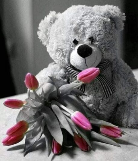 173941099_266245938555056_2313280807048129300_n