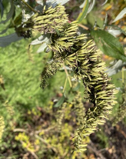 E16D99C4-B6B6-4B31-BC84-C88E02429896