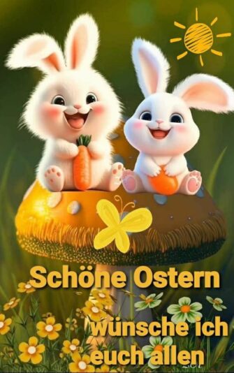 340080073_995437244782834_4406846204059239094_n (2)