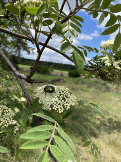 47F40EF4-5CEF-4B93-B28F-F6E2BFE04077