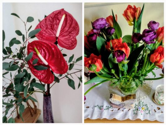 20240211_125926-COLLAGE