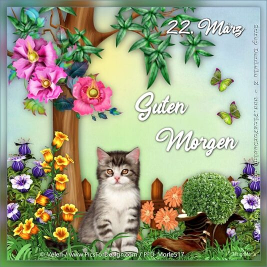 431976261_7348378631920315_7107966734087360646_n (2)