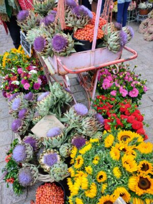 IMG_20220917_112739071