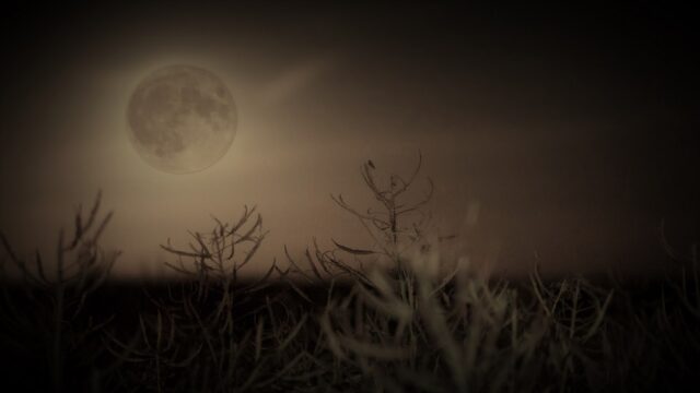 Mond2_HDR (2)