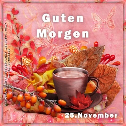 IMG_6202.JPG 25. 11.