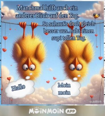 FB_IMG_1755495191030