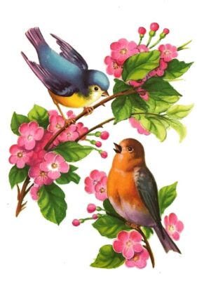 05346013acef047ad13d4ea89bad5433