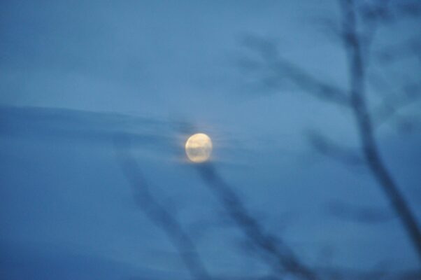 20140119 Mond (2)