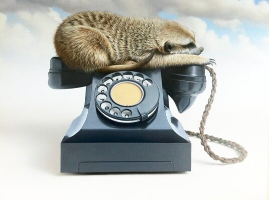 iCWvOcGNToefvCCb21LPQg_thumb_cb7 (2)