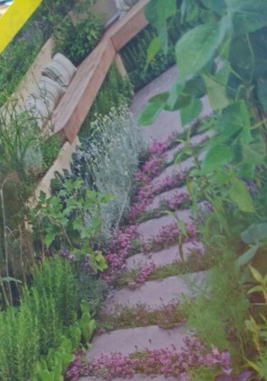 IMG_20200703_181157333