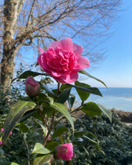 277503026_10160394375704258_8914514211345763039_n