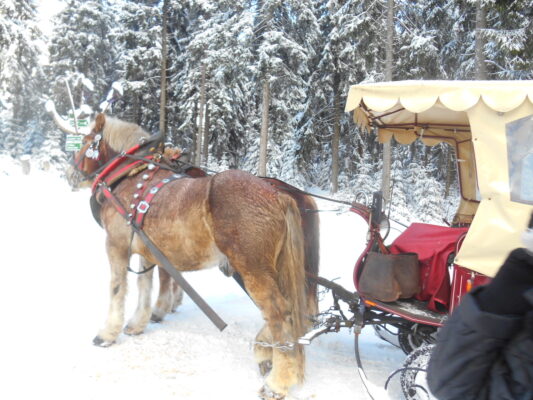 ein Tag in Oberhof 006