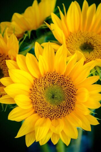 277763496_3160207470883715_5057467065448465583_n (1)