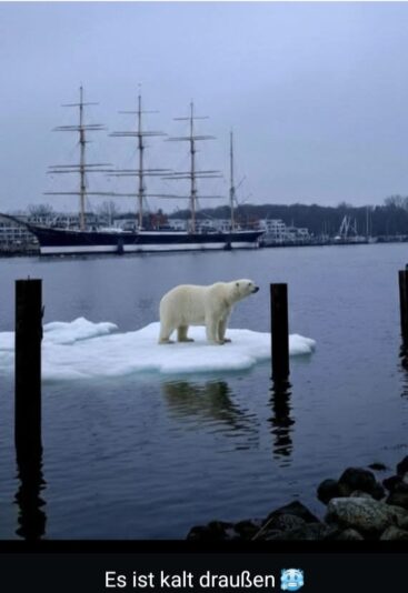 Screenshot_20260202_221159_Gallery