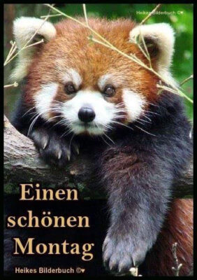 126899870_407049727000974_3051941533212414943_n